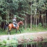 Karczma izby ubytovanie voľný čas rekreačné kúpalisko Poľsko