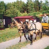Karczma izby ubytovanie voľný čas rekreačné kúpalisko Poľsko