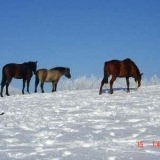 Karczma izby ubytovanie voľný čas rekreačné kúpalisko Poľsko